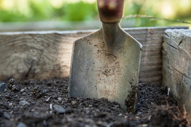 senior-friendly gardening tools and raised planter setup on a patio